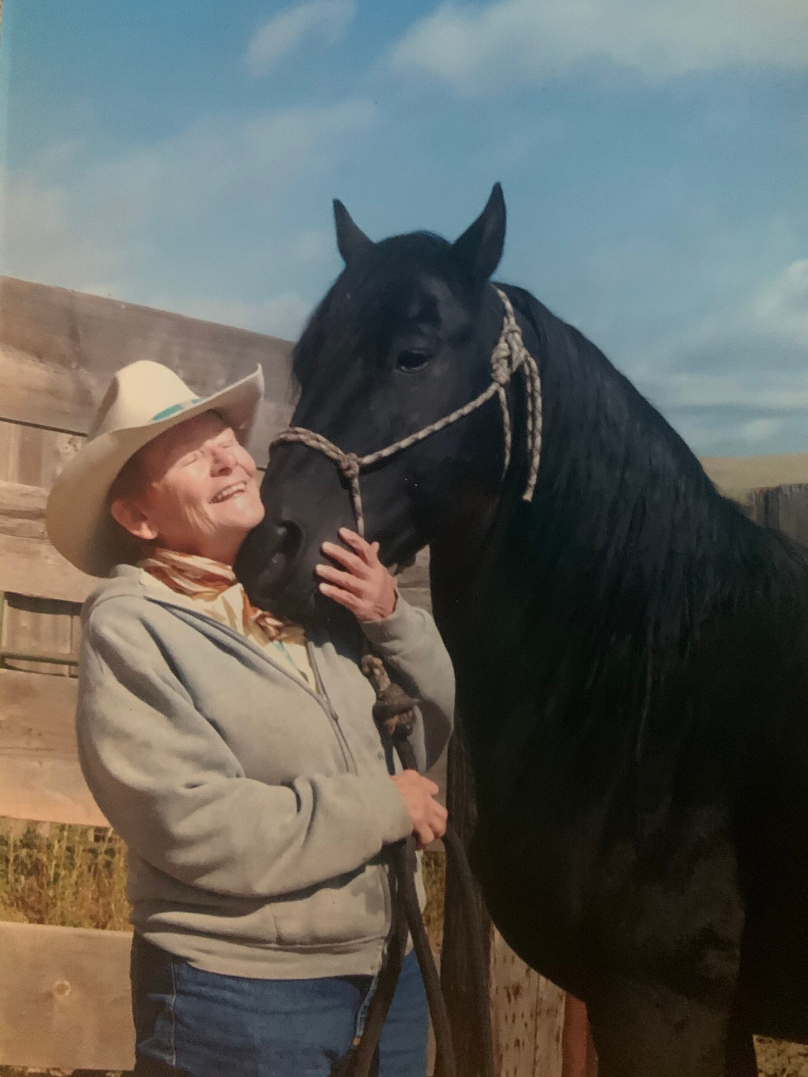 A woman in a cowboy hat hugs the muzzle of a black Morgan stallion.