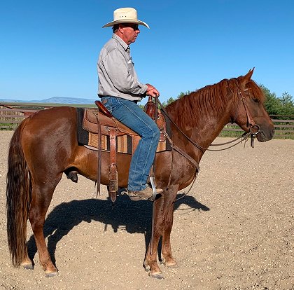 A cowboy on a sorrel colt.