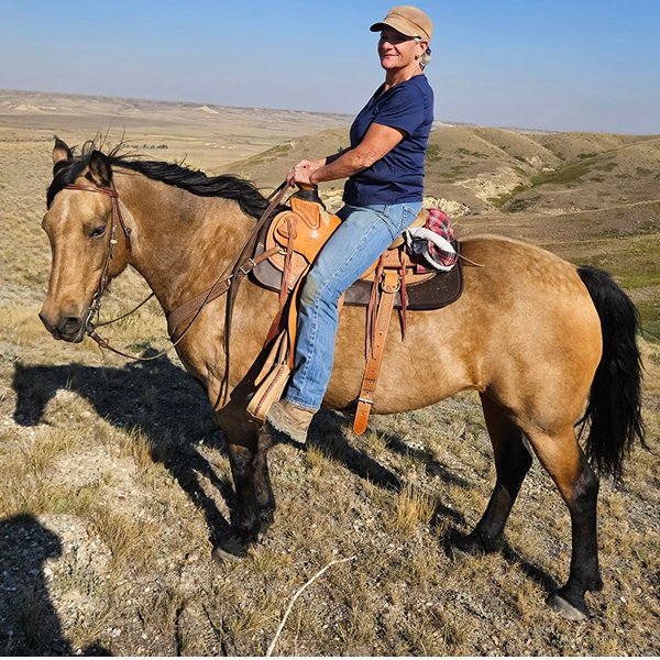 A buckskin (gold with black markings) horse and rider out in the country.