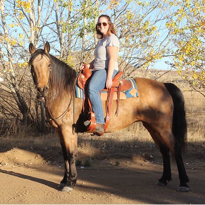 A young woman on a buckskin horse with western gear.