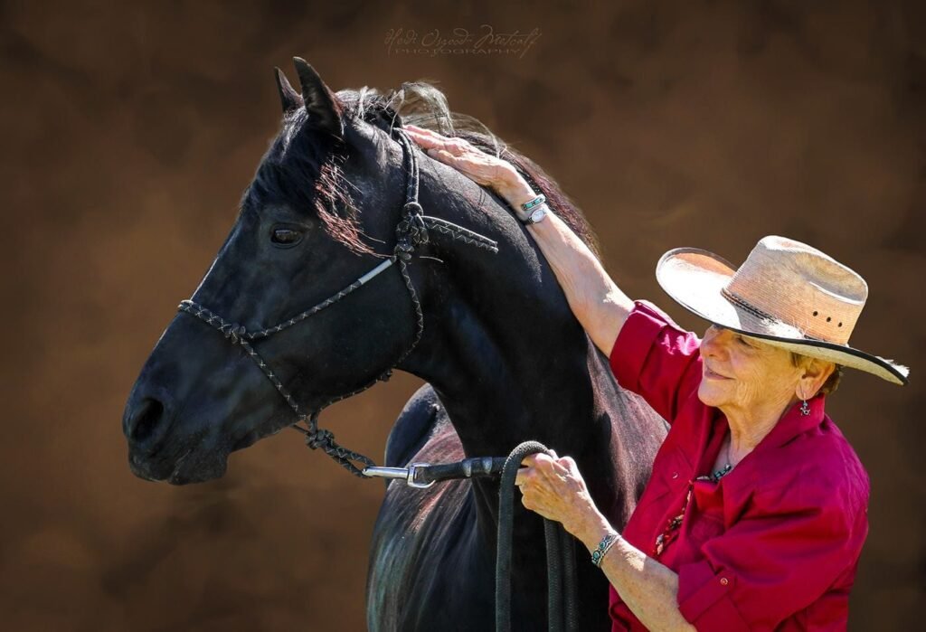 A black morgan stallion and his owner, a cowgirl in a red shirt and cowboy hat.