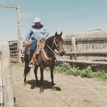 A cowgirl on a dark brown horse (bay) standing in an alley made of wooden posts and planks.