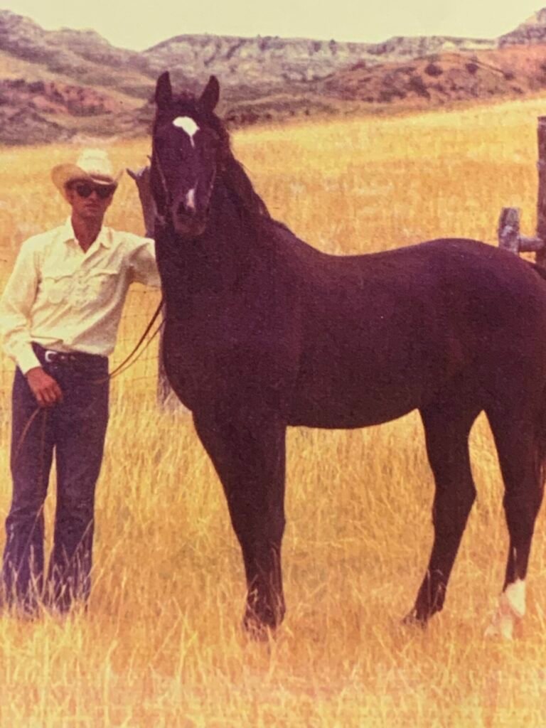 Photo of a cowboy holding a beautiful Morgan stallion with badlands in the background.