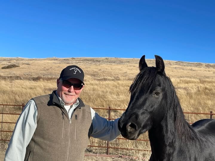 A man in a baseball cap and sunglasses has his hand on the neck of a black Morgan stallion.