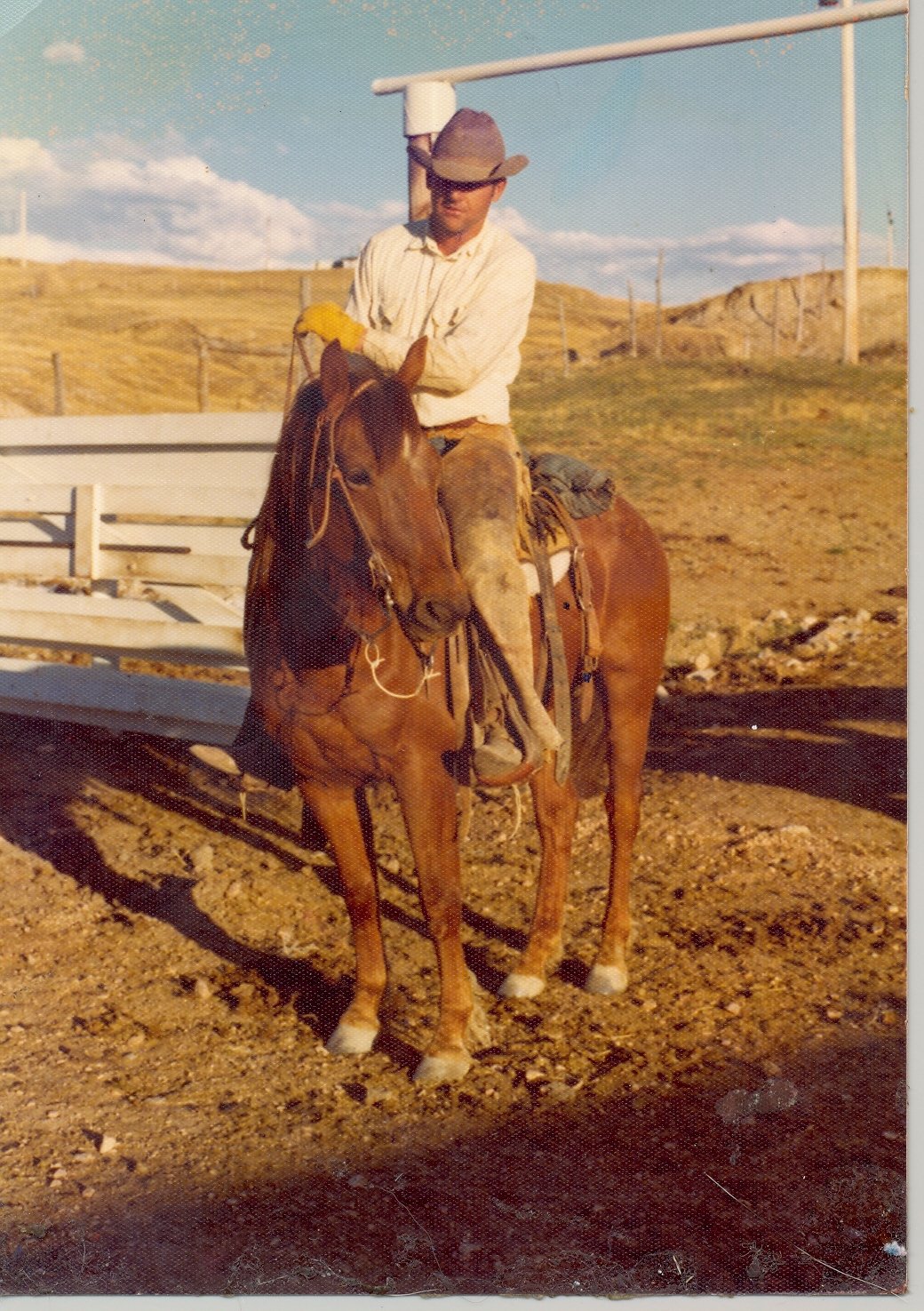 A cowboy on a reddish-brown horse in a corral, circa 1975.
