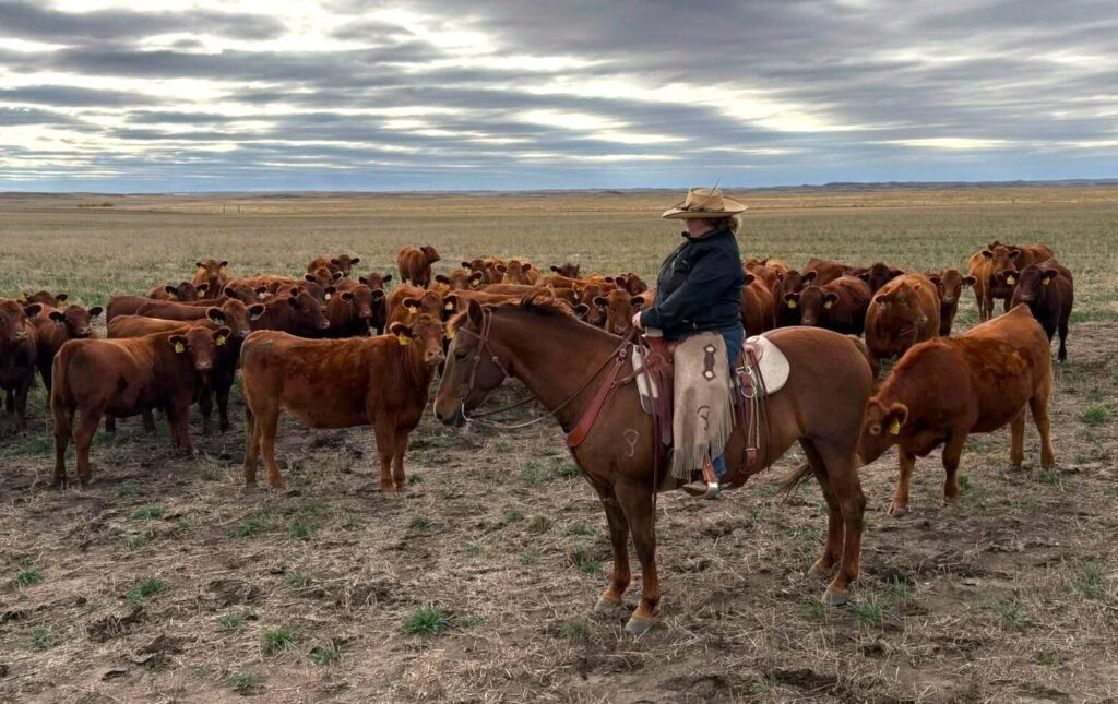 Sal prairie 3